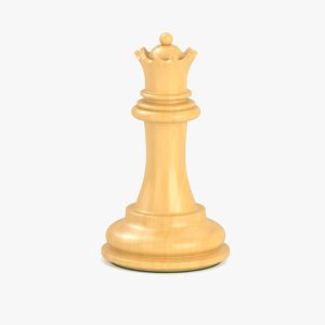 SkillAscendX